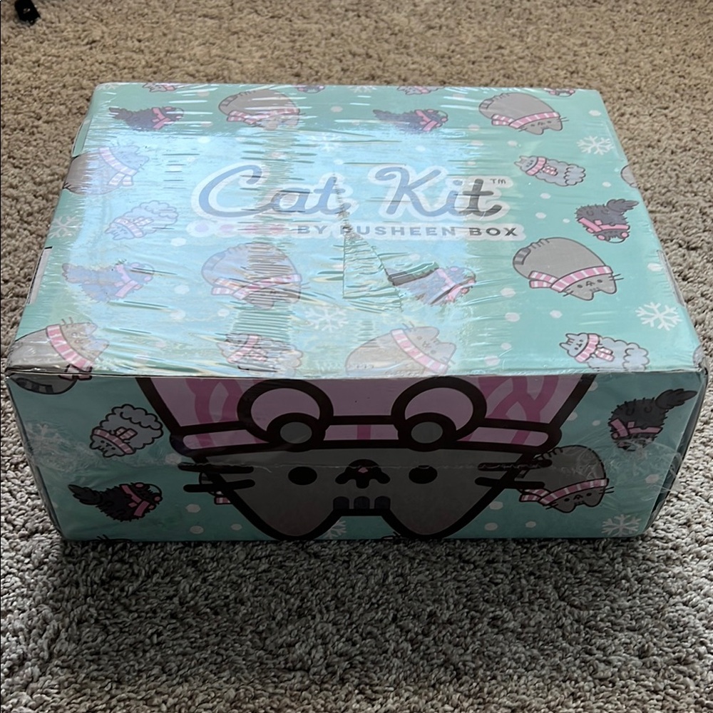 Pusheen Cat Kit Box